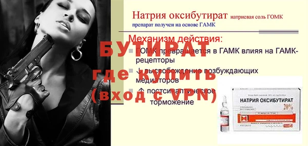 индика Зеленодольск