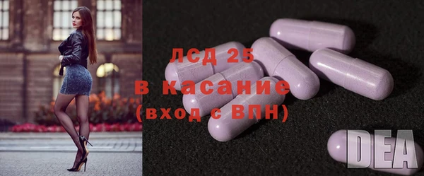 индика Зеленодольск