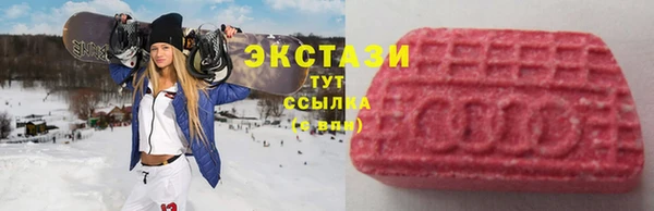 индика Зеленодольск