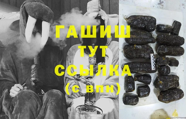 индика Зеленодольск
