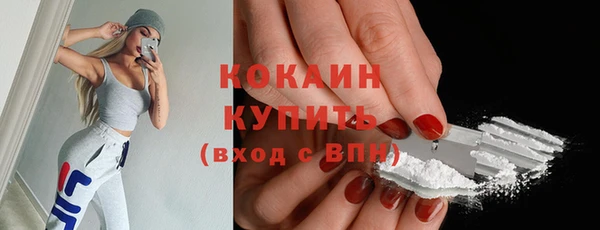 индика Зеленодольск