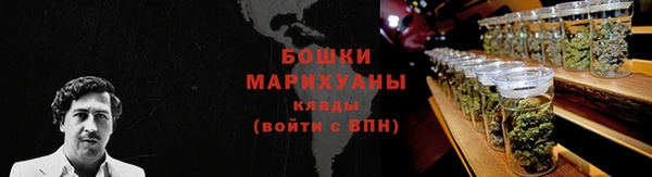 индика Зеленодольск