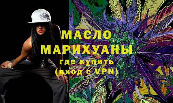 индика Зеленодольск