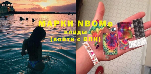 индика Зеленодольск