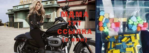 индика Зеленодольск