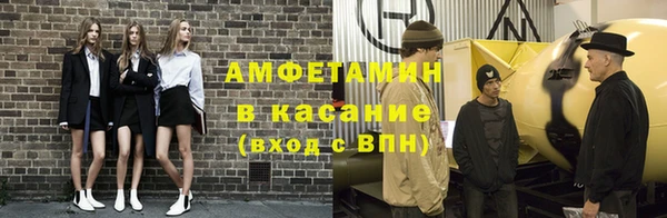 индика Зеленодольск