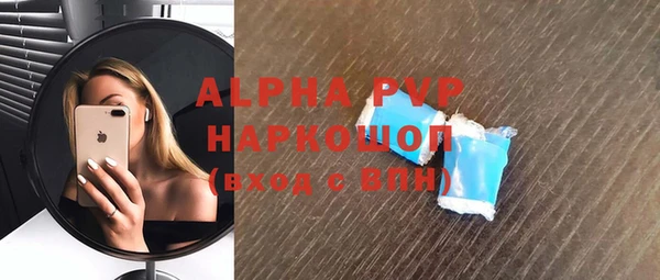 индика Зеленодольск