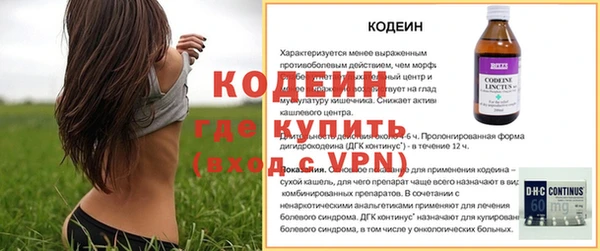 индика Зеленодольск