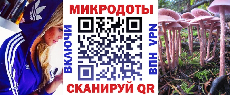 Галлюциногенные грибы ЛСД  блэк спрут как войти  Новочебоксарск 