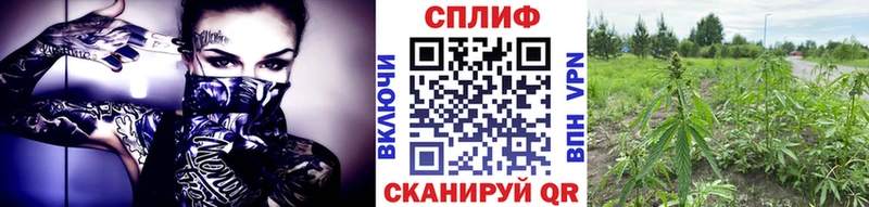 Шишки марихуана SATIVA & INDICA  Новочебоксарск 